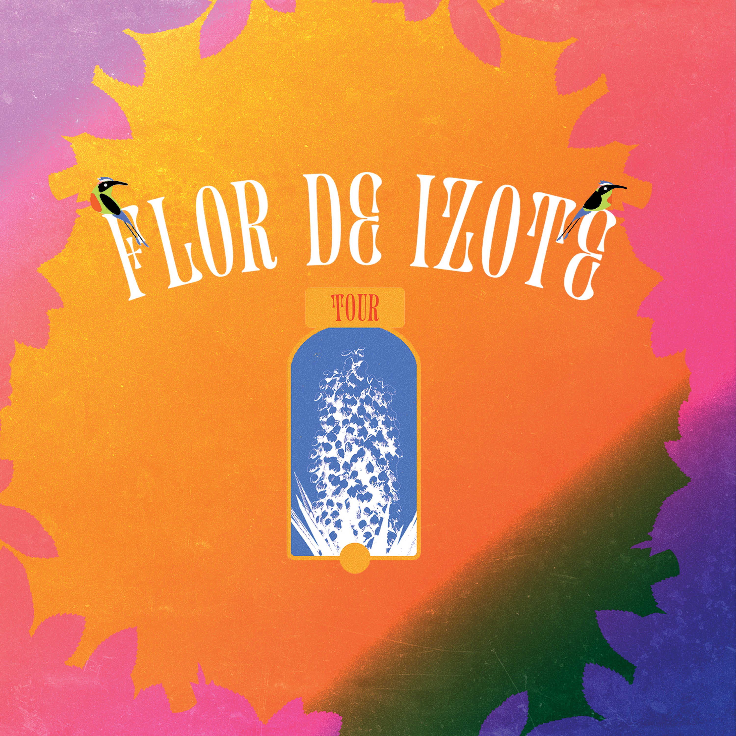 Various Artists - Flor De Izote Volume 1