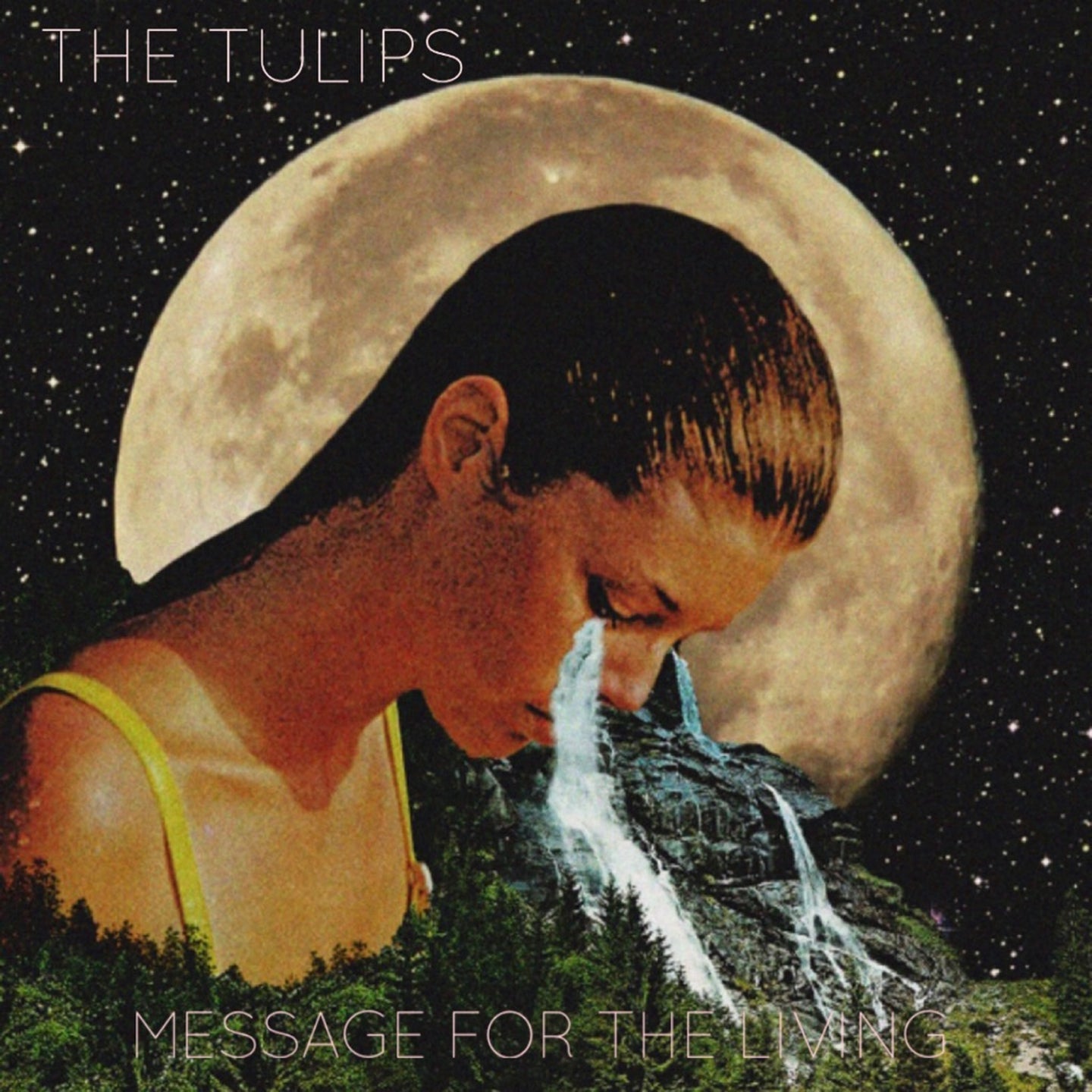 Message For The Living LP (Lathe Cut)