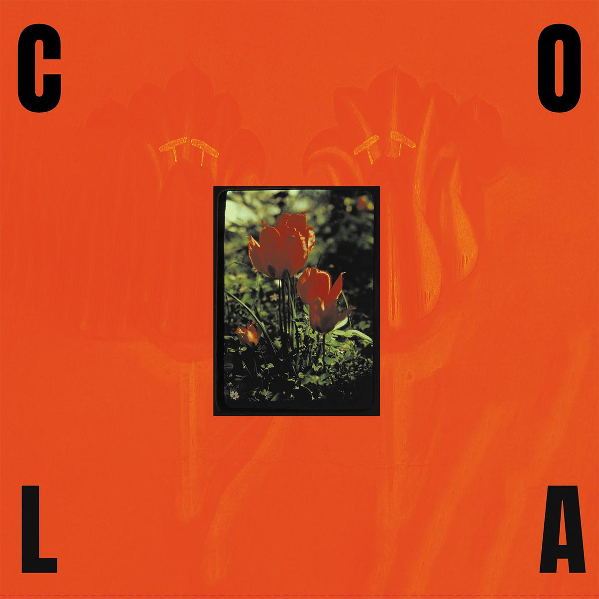 Cola The Gloss (Indie Exclusive Transparent Olive Green Vinyl)