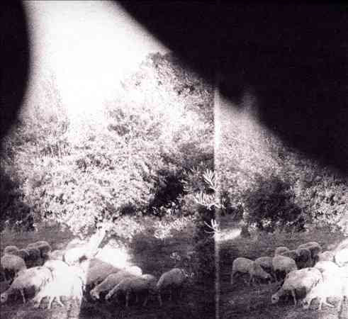 Godspeed You Black Emperor ASUNDER SWEET & OTHER DISTRESS
