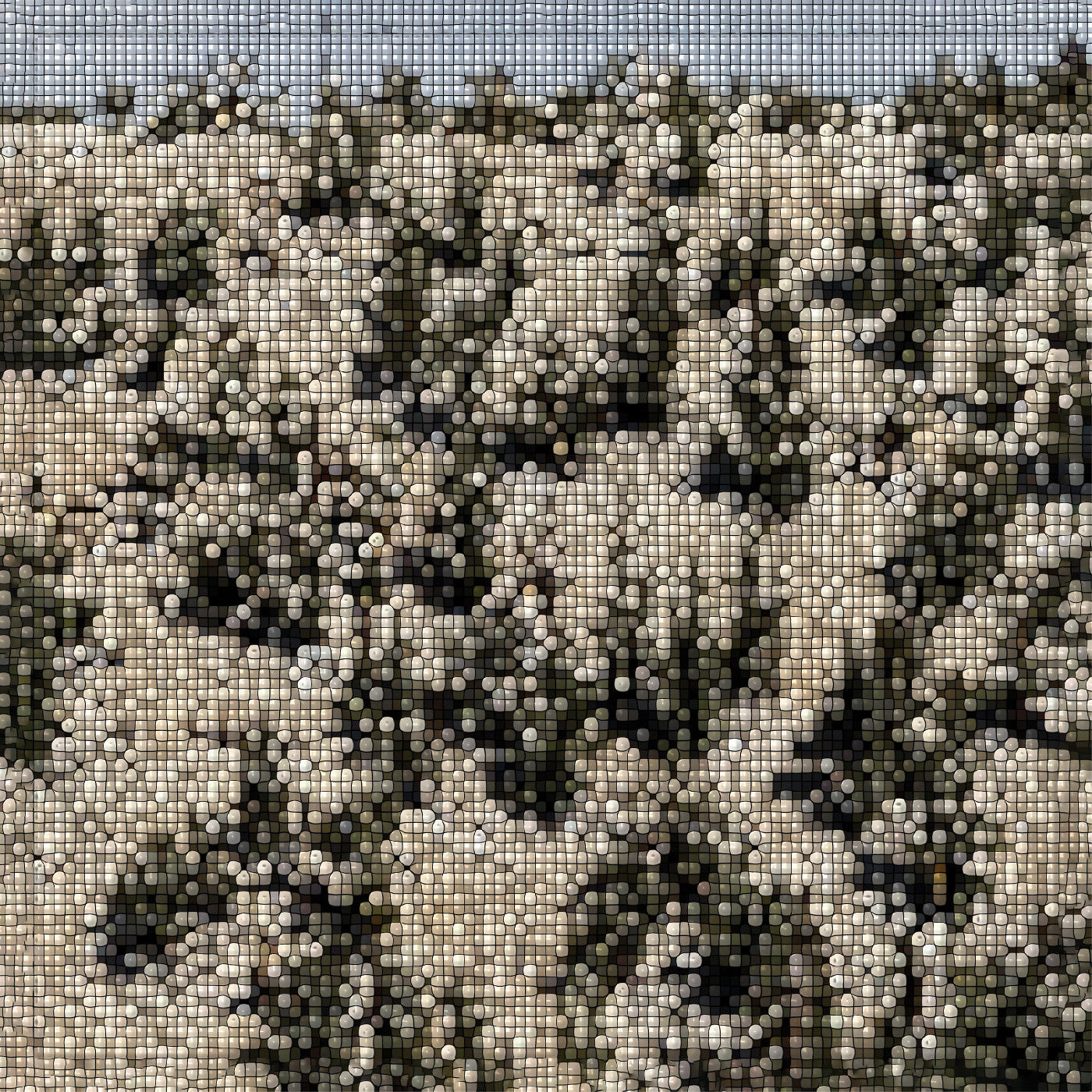 Gregory Uhlmann Extra Stars