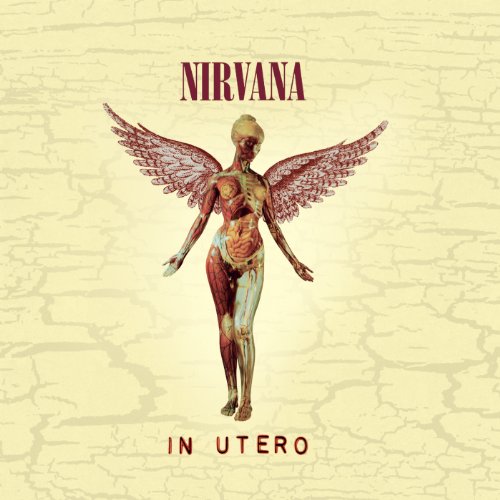 Nirvana IN UTERO (20TH ANNIVERSARY EDITION)