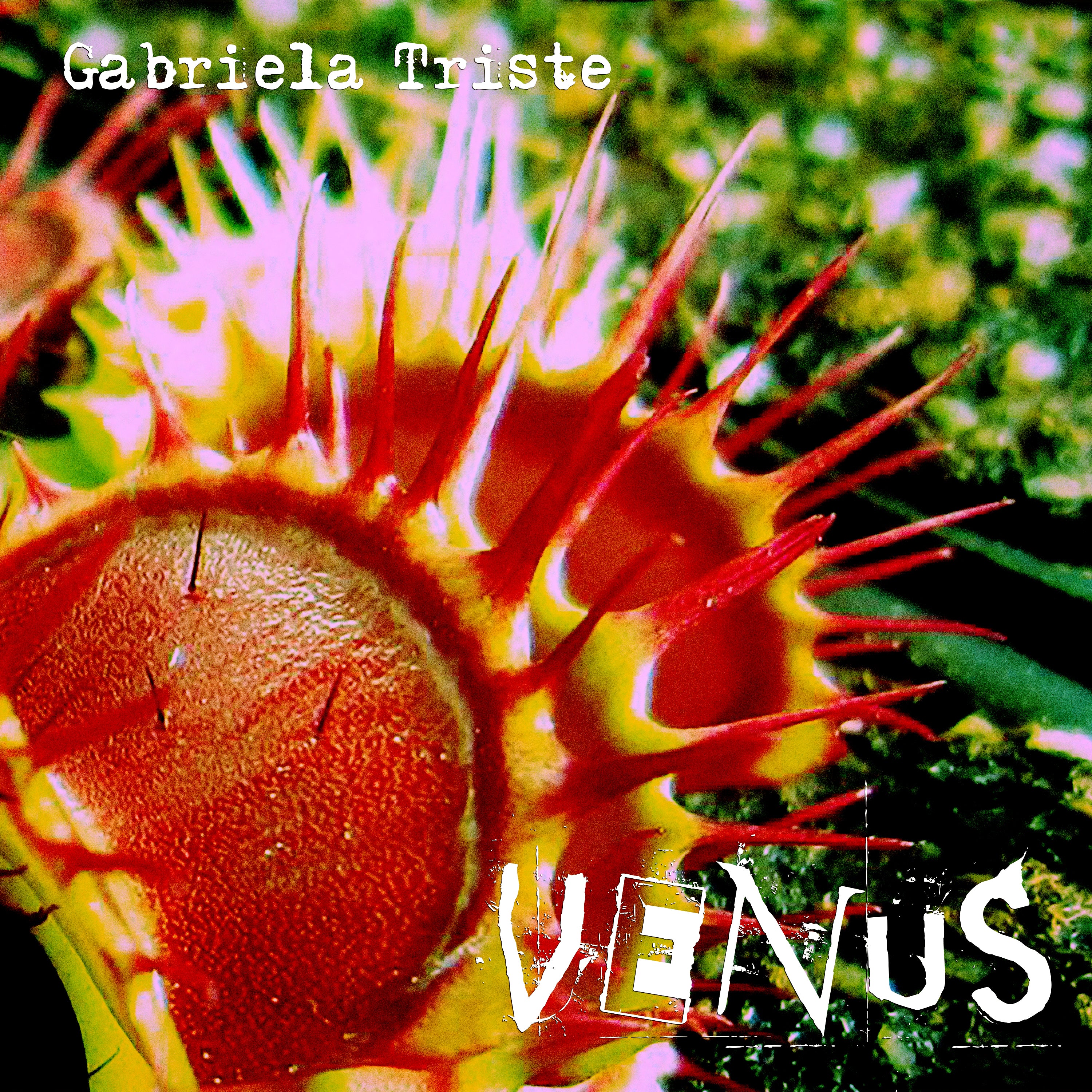 Gabriela Triste - Venus (Single)