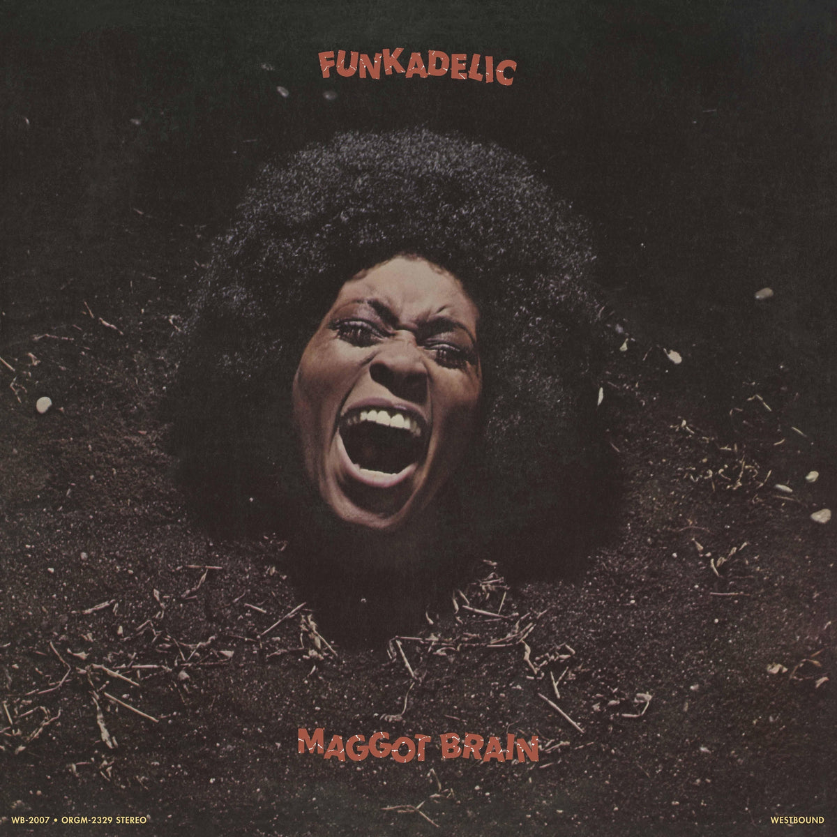 Funkadelic Maggot Brain (45 Rpm Edition) [2LP]
