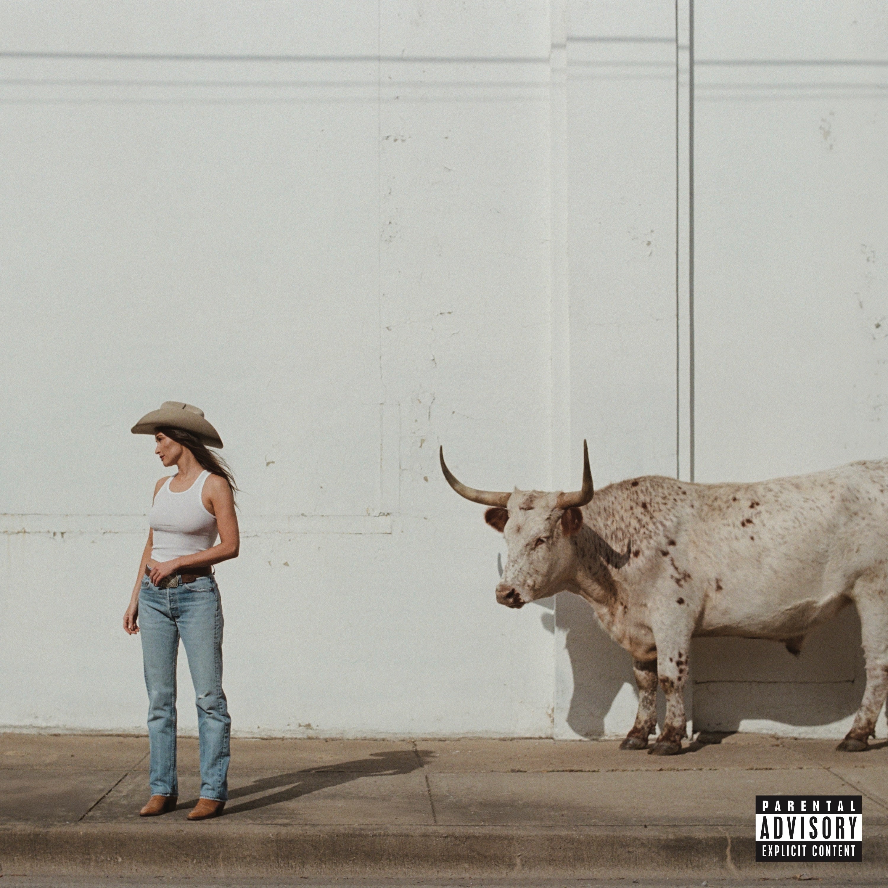 Kacey Musgraves Middle Of Nowhere [Whiskey Vinyl]