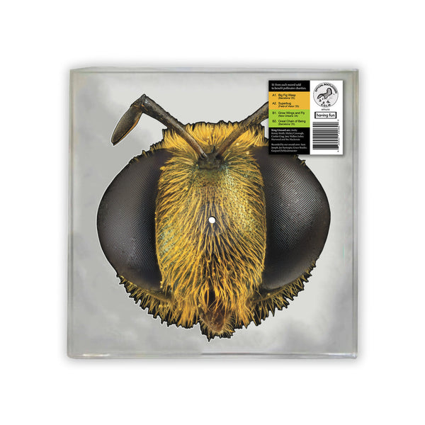 King Gizzard & The Lizard Wizard Big Fig Wasp (Bee/Bug Shaped Vinyl)