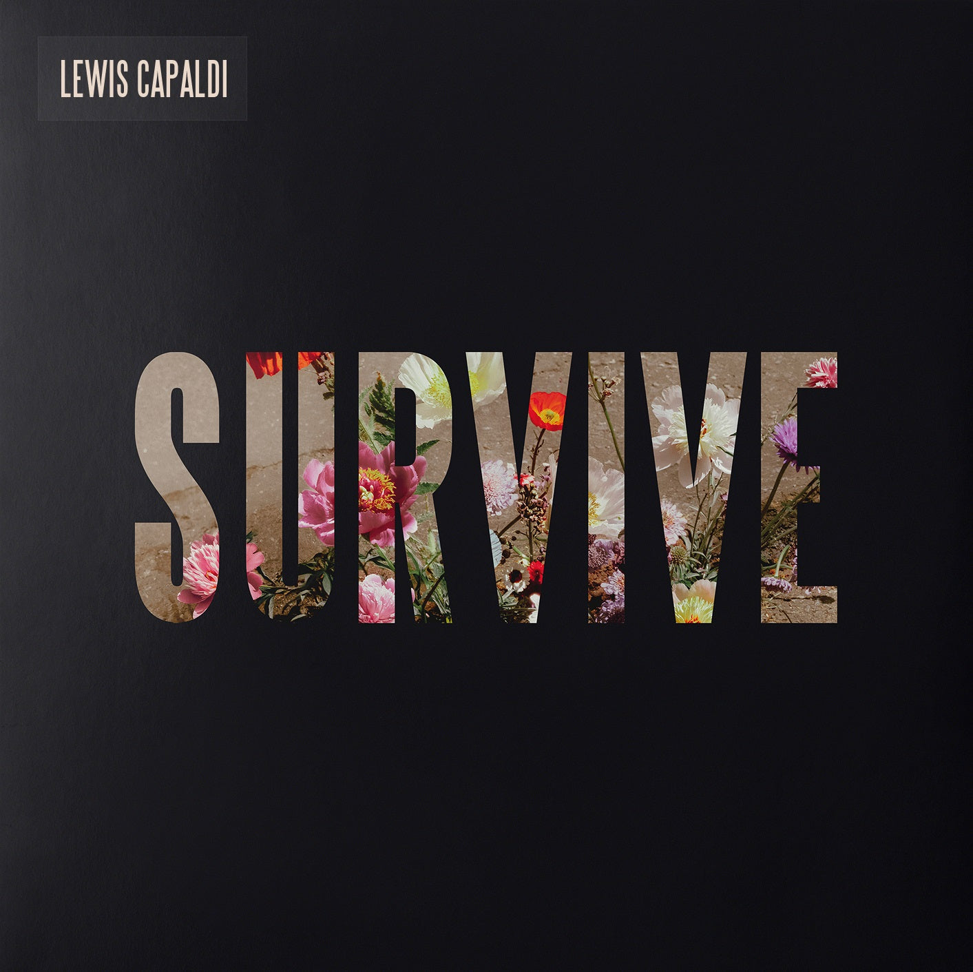 Lewis Capaldi Survive [Clear 12" EP]