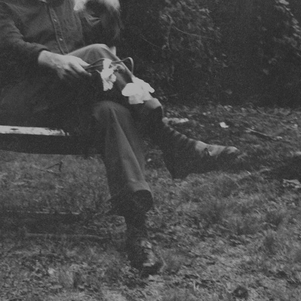 NEEDTOBREATHE The Long Surrender [LP]