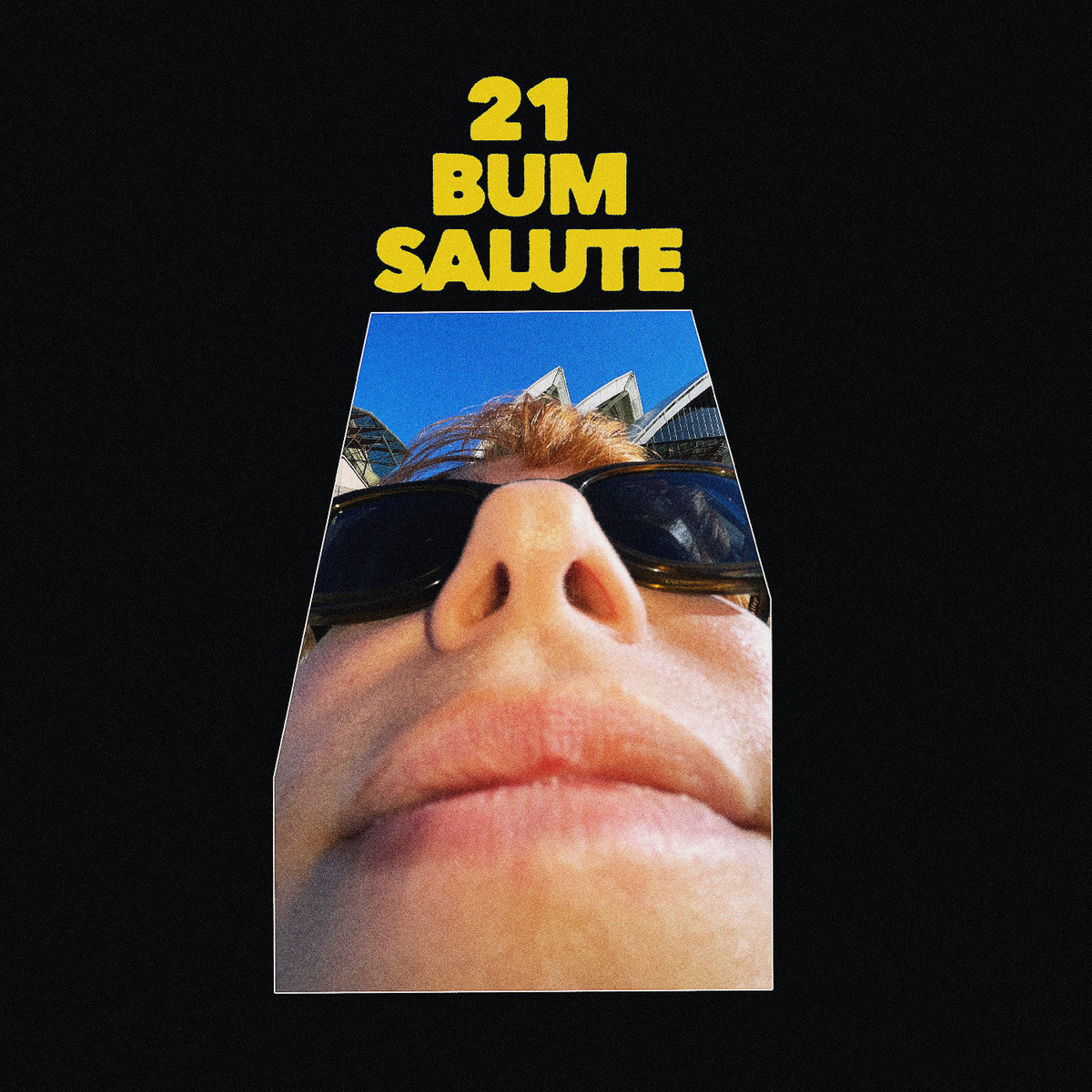 Party Dozen 21 Bum Salute [LP]