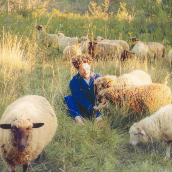 Resavoir Themes For Dreams