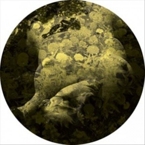 Salva Yellobone - 12