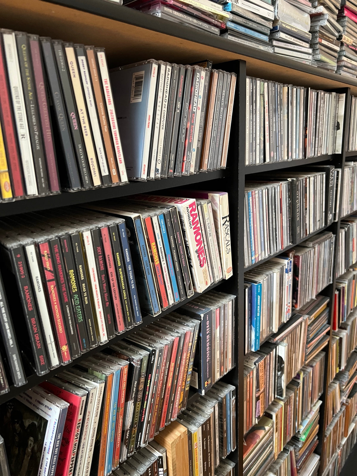 Shelves of CDs in the record store