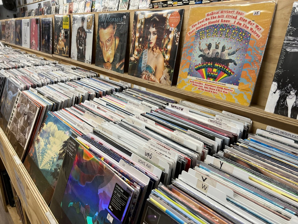 Rows of vinyl records in the store's bins