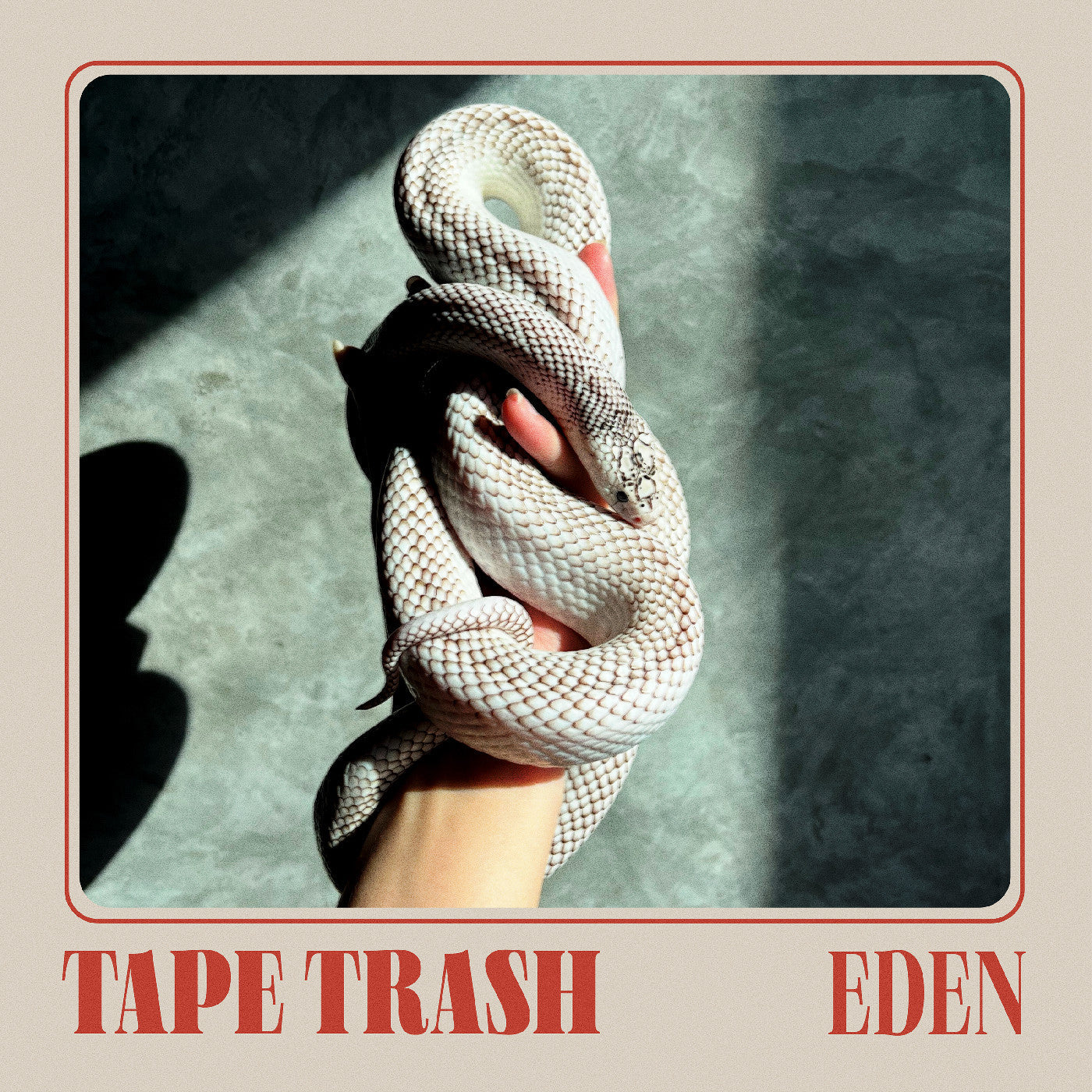 Tape Trash Eden
