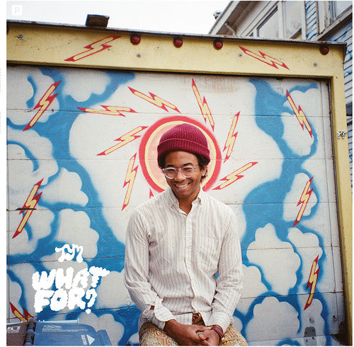 Toro y Moi What For? (Digital Download Card)