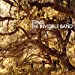 Travis The Invisible Band (20th Anniversary) [LP]
